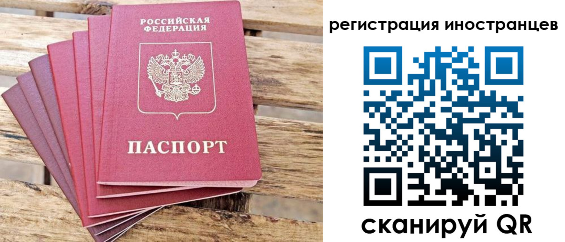временная прописка в Кингисеппе